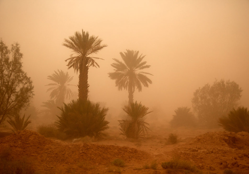 Borders of the Sahara Desert, Morocco