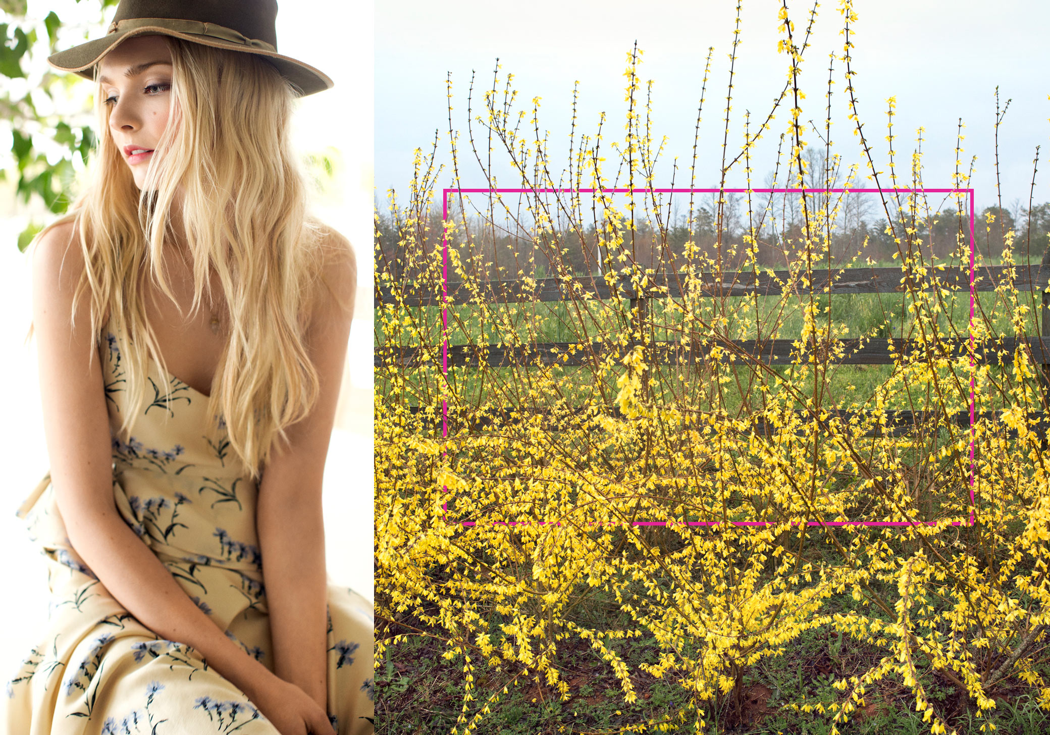 emily nathan tiny atlas south carolina pretty girl cowboy hat yellow flowers